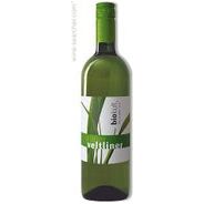 Image of Michlits Werner Biokult Gruner Veltliner from Michlits Werner