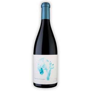 Image of Summer Dreams Pinot Noir Stargazing from Summer Dreams