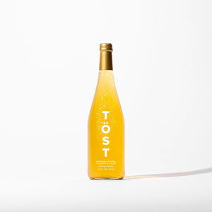 Image of Tost Sparkling Tea Cranberry Ginger NA from Tost