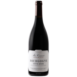 Meo Camuzet Bourgogne Rouge Cote d'Or 2023