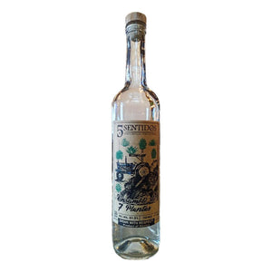 Image of Cinco Sentidos Agave Ensamble de 7 Plantas from Cinco Sentidos