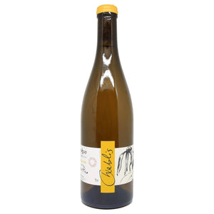 Image of Thomas Pico Domaine Pattes Loup Chablis from Domaine Pattes Loup