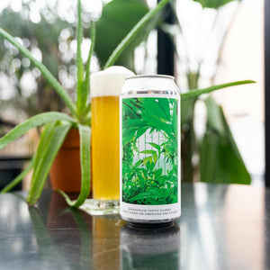 Image of Evil Twin Brewing Greenhouse Hoppy Pils from Evil Twin Brewing