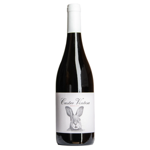 Image of Castro Ventosa Mencia from Castro Ventosa