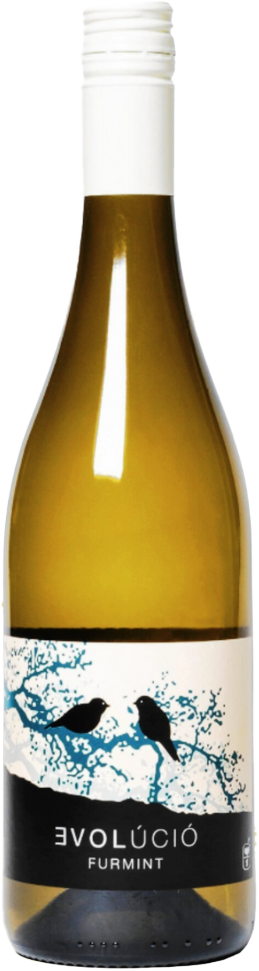 Evolucio Furmint 2024