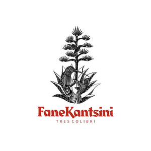 FaneKantsini Agave Espadilla Blanca
