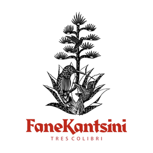 FaneKantsini Agave Arroqueno