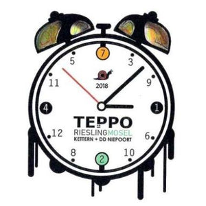 Fio Wein Teppo Riesling 2021