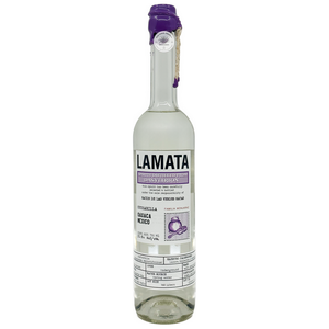 Image of Lamata Agave Cucharillo from Lamata