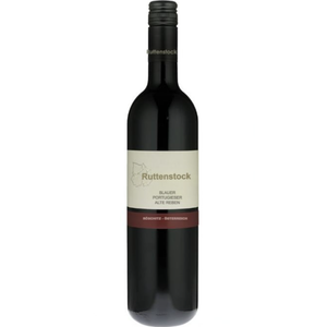 Ruttenstock Blauer Portugieser Alte Ruben 2024