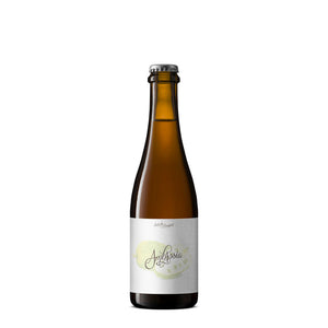 Image of Side Project Brewing Old Soul Lager from Side Project Brewing