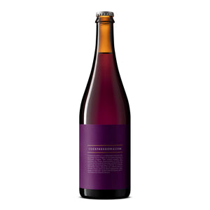Side Project Brewing Coexpressionalism
