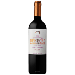 Image of Benegas Finca La Encarrada Malbec from Bodega Benegas