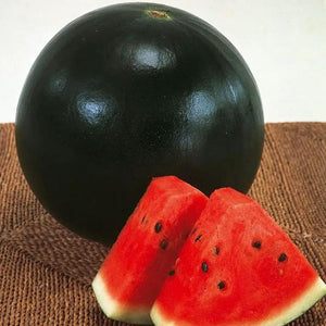 Local Watermelon