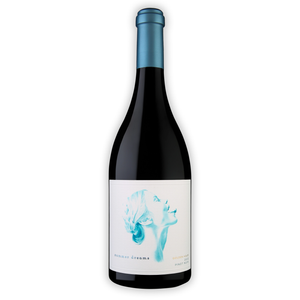 Image of Summer Dreams 'Golden Hour' Pinot Noir from Summer Dreams