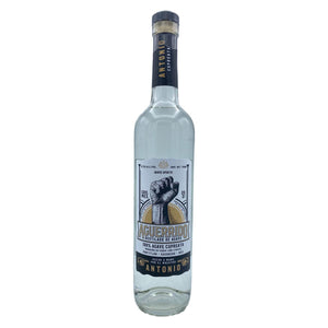 Image of Aguerrido Agave Cupreata Antonio from Aguerrido