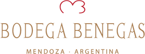 Benegas Single Vineyard Malbec 2021