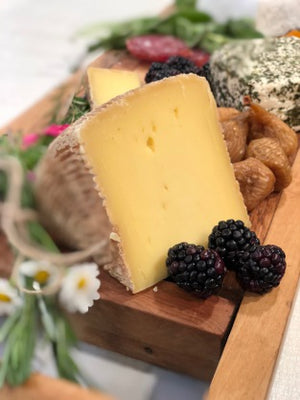 Tulip Tree Nightshade