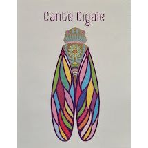 Image of Cante Cigale Sauvignon Blanc from Cante Cigale