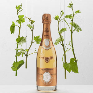 Image of Roederer Champagne Cristal Rose from Louis Roederer