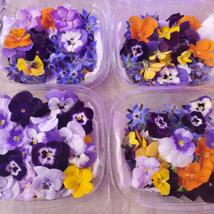 Bee Simple Edible Flowers