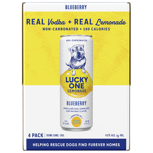 Image of High Noon Lucky One Blueberry Lemonade from High Noon