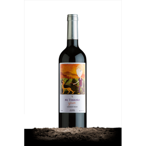 Mi Terruno Expresion Cabernet Franc 2023
