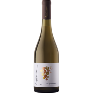 Dom Couturier Bourgogne Blanc 2023