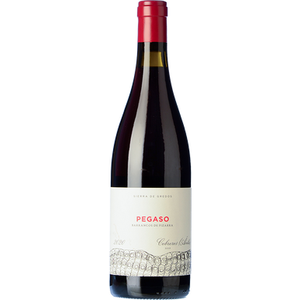 Image of Pegaso Barranco Pizarra from Compañía de Vinos Telmo Rodríguez