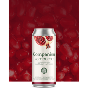 Image of Companion Kombucha Positively Pomegranate - Single from Companion Kombucha