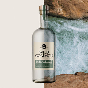 Image of Wild Common Mezcal Cuishe from Wild Common