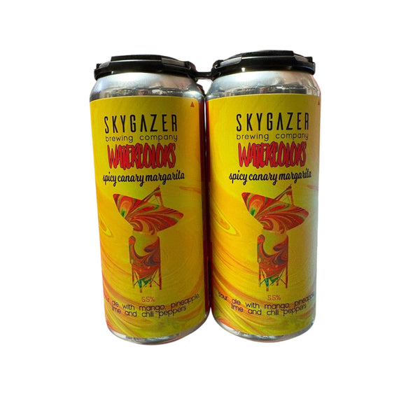 Skygazer Watercolors Spicy Canary Margarita Sour Ale