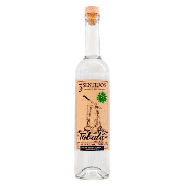 Cinco Sentidos Agave Tobala/Cultivado