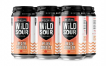 Destihl - Wild Sour Peach Cobbler 0 (62)