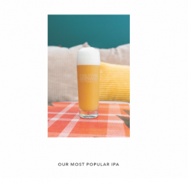 Evil Twin Brewing - Our Most Popular IPA (4 pack 16oz cans) (4 pack 16oz cans)