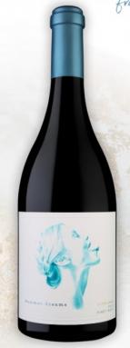 Summer Dreams - Pinot Noir Super Chill 2022 (750ml) (750ml)