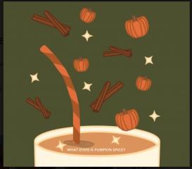 Evil Twin Brewing - What Even Is Pumpkin Spice? (16oz can) (16oz can)