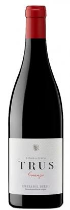 Palacios Vinos de Finca Trus - Ribera del Duero Crianza 2018 (750ml) (750ml)