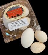 Grand Army Farms - Eggs Variety Pack 0